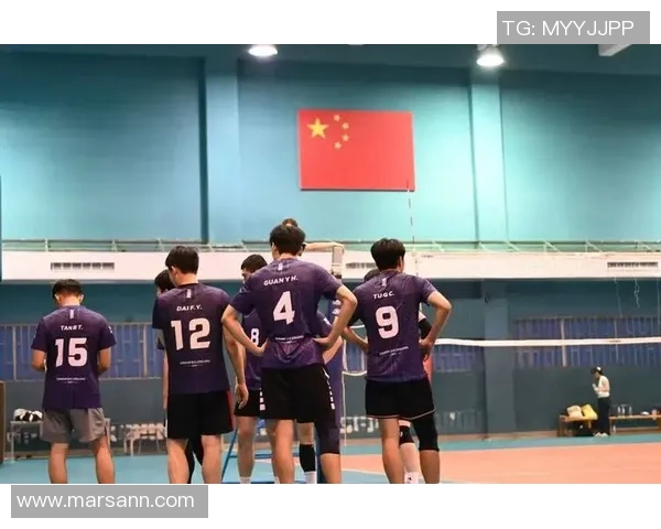 上海排球队在城市联赛中的技术表现分析与点评 上海排球队在城市联赛中的技术表现分析与点评