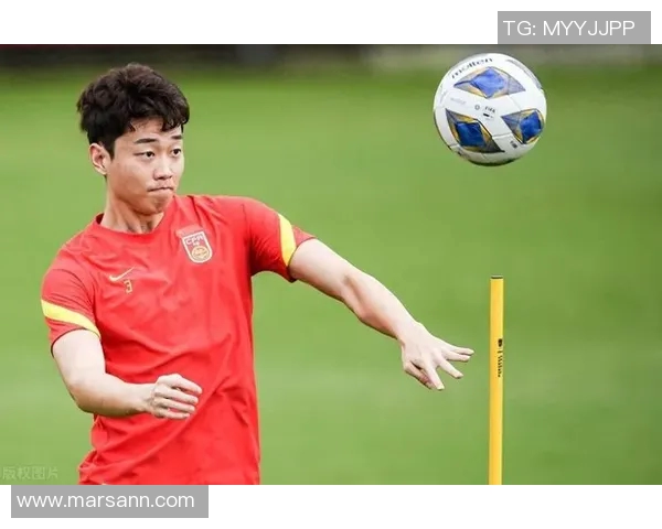 上海乒乓球队在世界杯预选赛中的奋斗与突破之路全景回顾 上海乒乓球队在世界杯预选赛中的奋斗与突破之路全景回顾