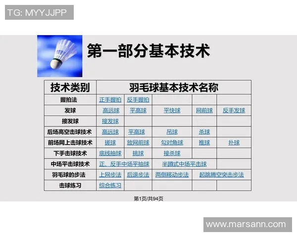 全国锦标赛分析:北京羽毛球队技术水平与战术运用的全面评估 全国锦标赛分析:北京羽毛球队技术水平与战术运用的全面评估
