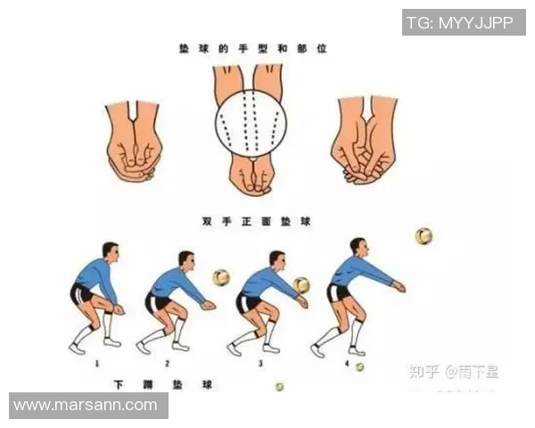 北京排球队的阵地战揭秘：深度解析排球战术与团队协作技巧