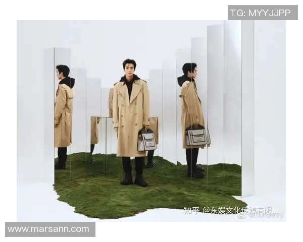 足球明星与内娱明星的魅力对比与影响力分析