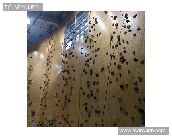 聚焦攀岩:南京攀岩队的比赛经验话题 聚焦攀岩:南京攀岩队的比赛经验话题