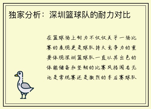 独家分析：深圳篮球队的耐力对比